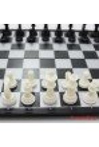 Магнитные шахматы 2 в 1 - шахматы, шашки