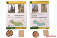 Коллекция. Древесные растения и их распространение