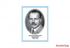 Стенд портрет Николай Иванович Вавилов