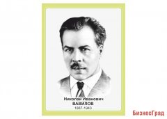 Стенд портрет Вавилов Н.И.