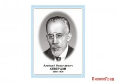 Стенд портрет А. Н. Северцова