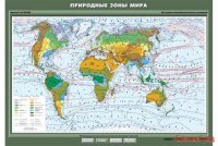 Карта учебная. Природные зоны мира
