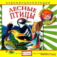 Audio CD. Лесные птицы