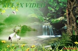 Видео для релаксации