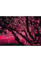 КЛИП ЛАЙТ (Clip Light) комплект 30м с 300 розовыми LED лампами, 24V, черный провод, уличный, Beauty Led