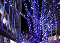 КЛИП ЛАЙТ (Clip Light) комплект 30м с 225 синими LED лампами, 24V, провод-черный КАУЧУК, уличный, Beauty Led