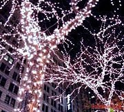 КЛИП ЛАЙТ (Clip Light) комплект 30м с 300 холодными белыми LED лампами, 24V, черный провод, уличный, Beauty Led