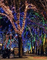 КЛИП ЛАЙТ (Clip Light) комплект 30м с 225 разноцветными LED лампами, 24V, провод-черный КАУЧУК, уличный, Beauty Led