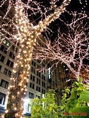 КЛИП ЛАЙТ (Clip Light) комплект 30м с 300 теплыми белыми LED лампами, 24V, черный провод, уличный, Beauty Led