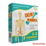 Исследовательский набор "Скелет человека"