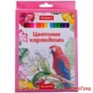 Карандаши "Птицы", 36 цветов, заточенные