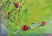 Папка-конверт на кнопке "Ladybird", А4