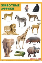 ПЛ Животные Африки