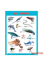 Плакаты (англ). Sea Animals (Морские обитатели)