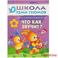 ШСГ Первый год обучения. Что как звучит?