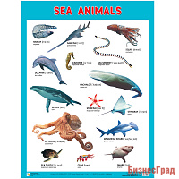 Плакаты (англ). Sea Animals (Морские обитатели)