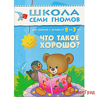 ШСГ Третий год обучения. Что такое хорошо?