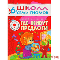ШСГ Седьмой год обучения. Где живут предлоги