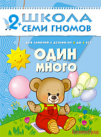 ШСГ Третий год обучения. Один много