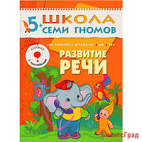 ШСГ Шестой год обучения. Развитие речи