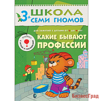 ШСГ Четвертый год обучения. Какие бывают профессии