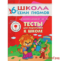 ШСГ Седьмой год обучения. Тесты для подготовки к школе