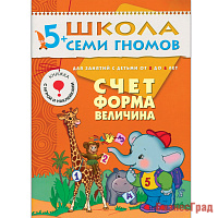 ШСГ Шестой год обучения. Счет, форма, величина