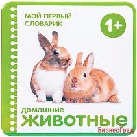 Мой первый словарик.  Домашние животные  (EVA) New